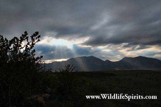 Click Picture to send as an  E-PostCard 57k 550x367